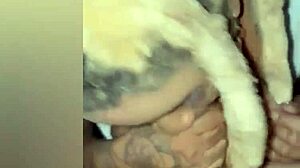 कैरेबियन बेब को उसके बड़े स्तनों की पूजा और सार्वजनिक रूप से चोदा जाता है