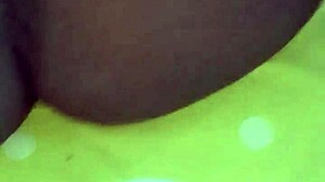 Amateur couple's big tits and asses get pounded